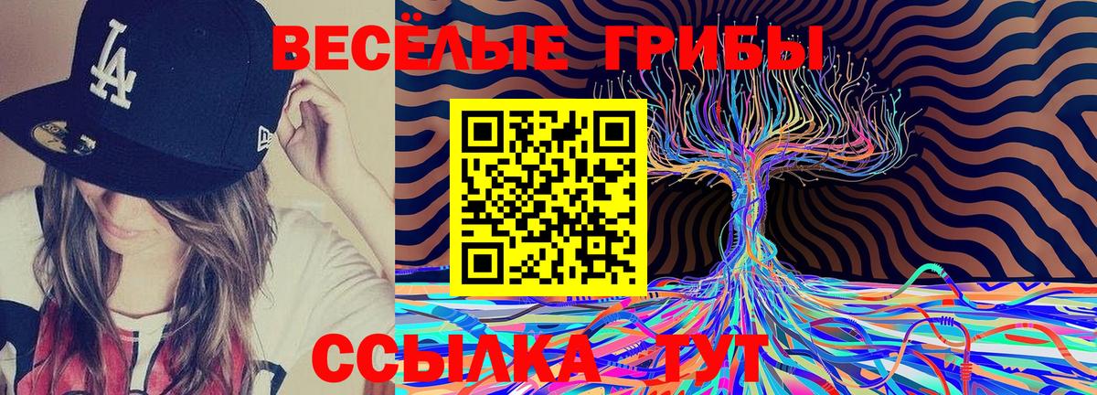 Псилоцибиновые грибы Psilocybe  Вход с VPN  Усть-Джегута  Псилоцибиновые грибы мухоморы 